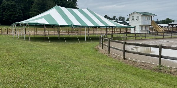 40x60 Pole Tent Green and White - Image 2